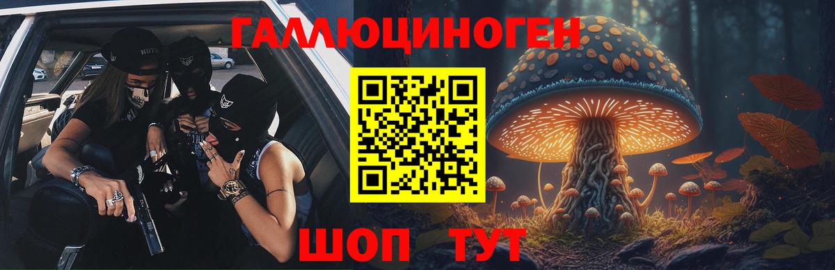Галлюциногенные грибы Psilocybine cubensis  Псилоцибиновые грибы ЛСД  Вход с VPN  Звенигород 